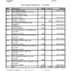 editable template, Albania ProCredit bank statement template in Excel and PDF format