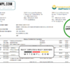 editable template, Kyrgyzstan Kirgizbank bank statement easy to fill template in Excel and PDF format