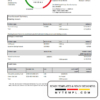 editable template, Hong Kong Citibank credit card statement template in .xls and .pdf file format