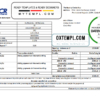 editable template, Costa Rica The Bank of Costa Rica bank statement easy to fill template in Excel and PDF format