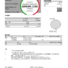 editable template, Hong Kong Bank of China (Hong Kong) bank statement easy to fill template in Excel and PDF format