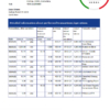 editable template, Costa Rica Banco Nacional bank statement easy to fill template in .xls and .pdf file format