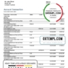 editable template, Guinea Fibank proof of address bank statement template in Word and PDF format