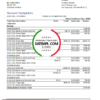 editable template, Guinea Fibank bank statement template in .xls and .pdf file format