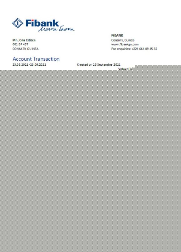 editable template, Guinea Fibank bank statement template in .xls and .pdf file format
