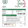 editable template, Iraq Rafidain bank statement easy to fill template in Word and PDF format