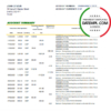 editable template, Egypt National Bank of Egypt bank statement easy to fill template in Excel and PDF format