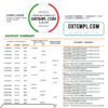 editable template, Egypt National Bank of Egypt proof of address bank statement template in Word and PDF format (.doc and .pdf)