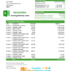 editable template, Algeria Banque nationale d’Algérie (BNA) bank statement template in Excel and PDF format