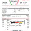 editable template, Cameroon UBA bank statement template in Word and PDF format