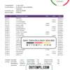 editable template, Iran Zamin Bank statement template in Excel and PDF format