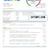 editable template, Egypt Al Ahli Bank of Kuwait bank statement easy to fill template in Excel and PDF format