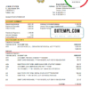 editable template, Iran Melli Bank statement template in .xls and .pdf file format