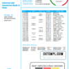 editable template, China Industrial and Commercial Bank of China bank statement template in Word and PDF format
