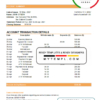 editable template, Ecuador Banco Internacional bank statement easy to fill template in Excel and PDF format