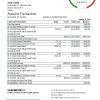 editable template, China Citic Bank Corp bank statement easy to fill template in Excel and PDF format