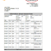 editable template, Albania Bank of Albania bank statement template in Excel an PDF format
