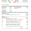 editable template, Cameroon UBA bank statement easy to fill template in Excel and PDF format