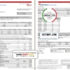 editable template, India ICICI Bank statement template in Word and PDF format (2 pages)