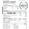 editable template, Chile Scotiabank statement template in Word and PDF format fully editable, good for address prove