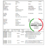 editable template, India Finacle bank statement easy to fill template in Excel and PDF format