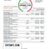 editable template, Georgia Liberty Bank statement easy to fill template in Excel and PDF format