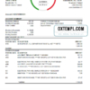 editable template, Finland Danske bank statement easy to fill template in .xls and .pdf file format