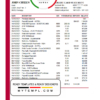 editable template, Hungary MKB Bank statement easy to fill template in .xls and .pdf file format