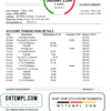 editable template, Cameroon Atlantic bank statement template in Excel and PDF format