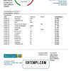 editable template, Cyprus Bank of Cyprus proof of address  bank statement template in Word and PDF format