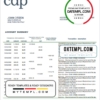 editable template, Italy Cassa Depositi e Prestiti bank statement template in Word and PDF format, fully editable
