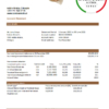editable template, Ethiopia Commercial Bank statement easy to fill template in Excel and PDF format