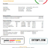 editable template, Ethiopia Bank of Abyssinia bank statement easy to fill template in .xls and .pdf file format