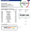 editable template, Japan Mizuho Bank statement template in Word and PDF format, good for address prove