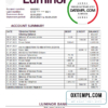 editable template, Estonia Luminor bank statement easy to fill template in .xls and .pdf file format