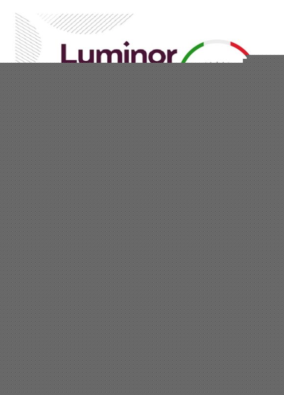 editable template, Estonia Luminor bank statement easy to fill template in .xls and .pdf file format