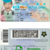Alaska driver license PSD template