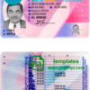 Czech driver license PSD template