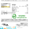 editable template, Canada ELK energy utility bill template, fully editable in PSD format