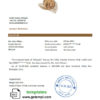editable template, Ethiopia Commercial Bank bank reference letter, Word and PDF format (.doc and .pdf)