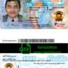 Florida driver license PSD template