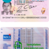 Ireland driver license PSD template