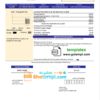 editable template, USA Think Energy utility bill template in Word and PDF format