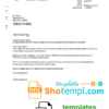 editable template, Netherlands T-Mobile utility bill template in Word and PDF format