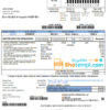 editable template, USA South Carolina Santee Electric Cooperative (SEC) proof of address utility bill template in Word and PDF format
