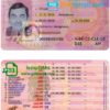 Netherlands driver license PSD template