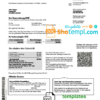 editable template, Germany E.ON Energie electricity utility bill template in Word and PDF format