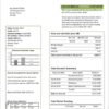 editable template, United Kingdom Ecotricity electricity utility bill template in Word and PDF format (.doc and .pdf)
