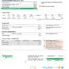 editable template, Yemen Schneider Electric utility bill template in Word and PDF format