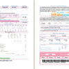 editable template, Brazil ENEL electricity utility bill template in Word and PDF format (2 pages)